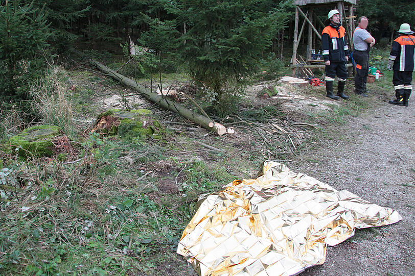 Unfall bei Waldarbeiten im Landkreis Erding: Ein 15-Jähriger ist von einem Baum getötet worden. Der Notarzt versuchte noch, den Jungen zu reanimieren. Doch zwecklos. Der Bub starb noch an der Unfallstelle
