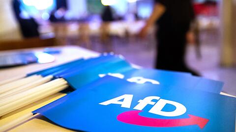 Fähnchen mit dem Logo der AfD.