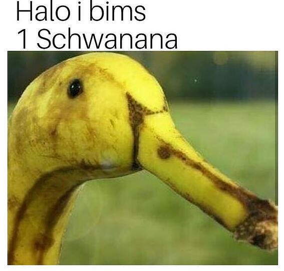 Eine Schwanana