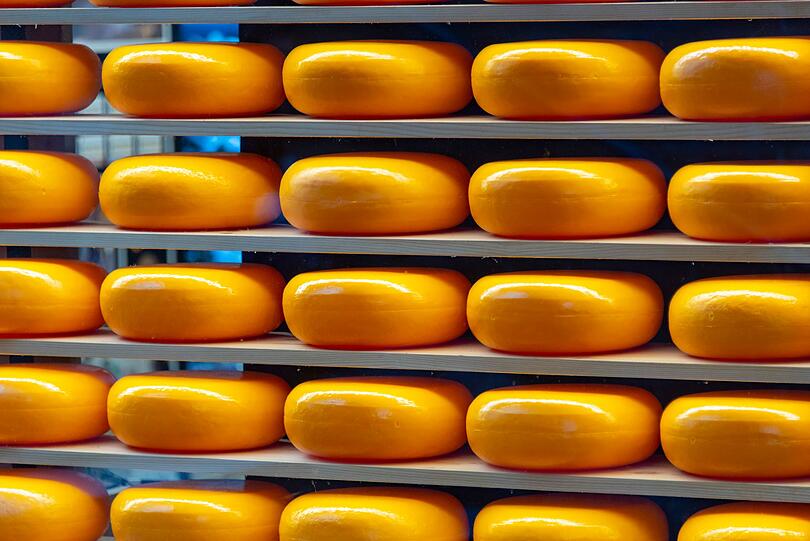 Ist Käse also gesund? Diese Fragen lässt sich weder mit Ja noch mit Nein beantworten. Denn neben durchaus gesundheitsfördernden Inhaltsstoffen enthält Käse auch jede Menge Fett. Viele Sorten sind echte Kalorienbomben und sollten allenfalls in Maßen genossen werden. Selbst fettärmere Sorten sind meist noch recht gehaltvoll. Ist Käse also gesund? Diese Fragen lässt sich weder mit Ja noch mit Nein beantworten. Denn neben durchaus gesundheitsfördernden Inhaltsstoffen enthält Käse auch jede Menge Fett. Viele Sorten sind echte Kalorienbomben und sollten allenfalls in Maßen genossen werden. Selbst fettärmere Sorten sind meist noch recht gehaltvoll.