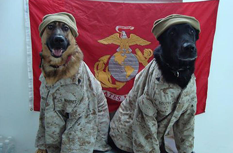 Hier ist Lucca mit ihrem Freund Posha bei einem Einsatz im Irak vor einigen Jahren zu sehen.