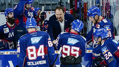 "Ich will nicht mit 20 Kilogramm Übergewicht dastehen und den Spielern sagen, was sie zu tun haben", sagt Mannheim-Coach Pavel Gross.