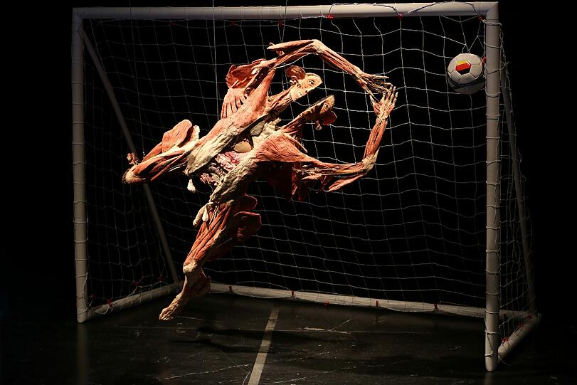 Der Ball landet im Kreuzeck, der Torwart springt ihm hinterher. Damit man noch mehr vom Körper sieht, ist der in der Mitte gespalten.