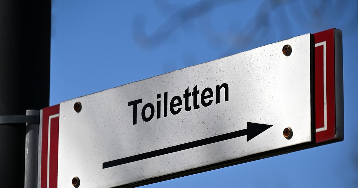 Donnerbalken-und-Luxus-Klo-Die-Toilette-im-Wandel-der-Zeit