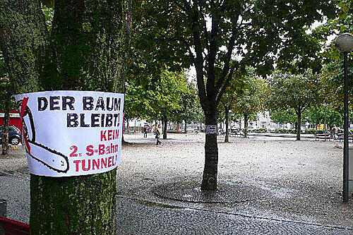 Kein Kettensägen-Massaker: Auch gegen das Abholzen der Bäume am Orleansplatz protestieren die Haidhauser.