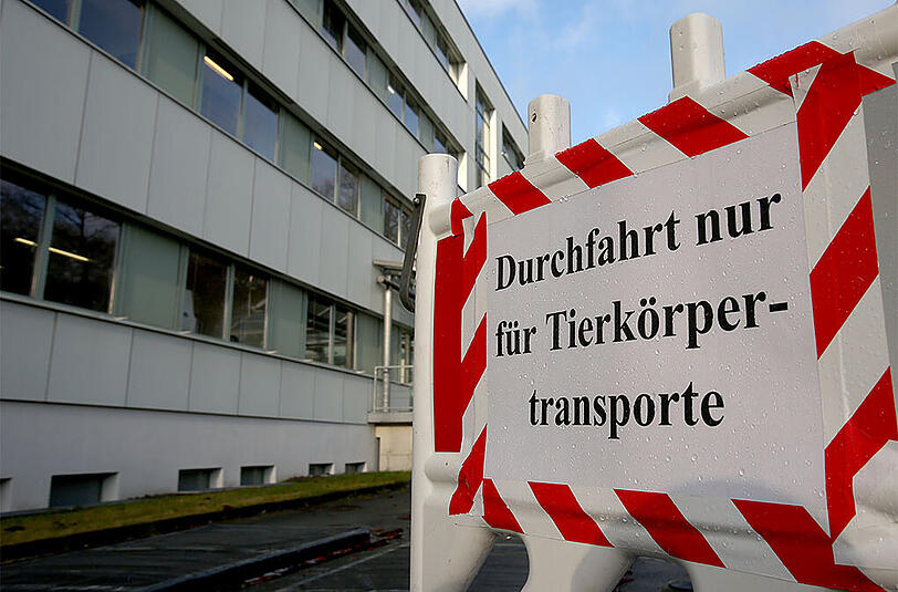 Wegen aktuter Seuchengefahr ist die Zufahrt zur Pathologie des Landesamtes für Landwirtschaft, Lebensmittelsicherheit und Fischerei in Rostock abgesperrt (Archivbild). Jetzt wurde der gefährliche Erreger bei einem Haushuhn in Mecklenburg-Vorpommern entdeckt.