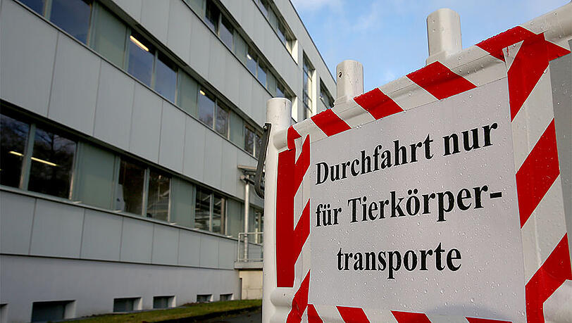 Wegen aktuter Seuchengefahr ist die Zufahrt zur Pathologie des Landesamtes für Landwirtschaft, Lebensmittelsicherheit und Fischerei in Rostock abgesperrt (Archivbild). Jetzt wurde der gefährliche Erreger bei einem Haushuhn in Mecklenburg-Vorpommern entdeckt. Wegen aktuter Seuchengefahr ist die Zufahrt zur Pathologie des Landesamtes für Landwirtschaft, Lebensmittelsicherheit und Fischerei in Rostock abgesperrt (Archivbild). Jetzt wurde der gefährliche Erreger bei einem Haushuhn in Mecklenburg-Vorpommern entdeckt.