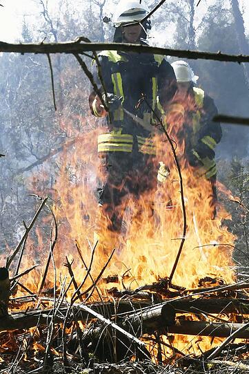 Insgesamt brannte fast ein Hektar frisch aufgeforsteter Wald. Die Feuerwehr musste das Wasser zur Einsatzstelle transportieren...