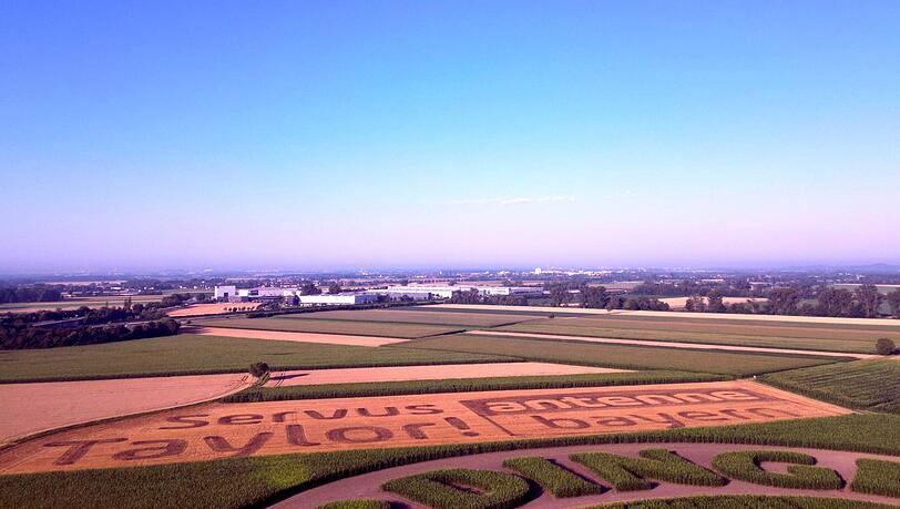 Der Schriftzug im Feld.
