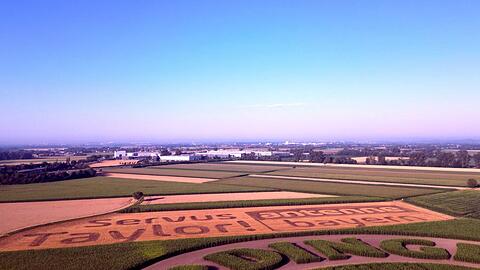 Der Schriftzug im Feld.