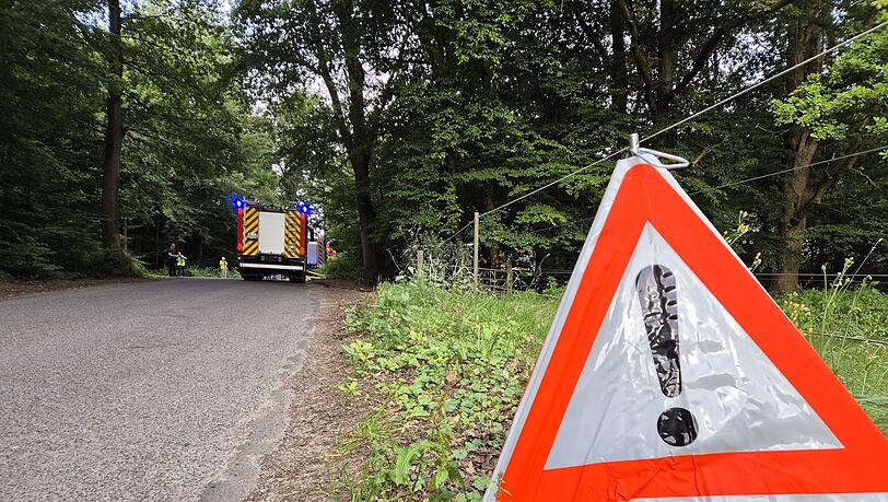 Die Gefahr von Waldbränden nimmt in Deutschland wieder zu. (Symbolbild) Die Gefahr von Waldbränden nimmt in Deutschland wieder zu. (Symbolbild)