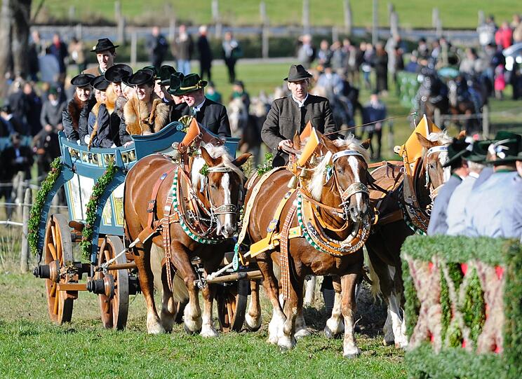 So schön war der Leonhardiritt: Bei strahlendem Sonnenschein zog der Traditions-Zug vom Schliersee nach Fischhausen. Die schönsten Bilder.