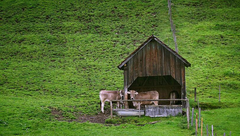 Nicht nur die Kühe standen diesen Sommer viel im Regen. Auch Wanderer und Hüttengäste waren vom schlechten Wetter geplagt. Nicht nur die Kühe standen diesen Sommer viel im Regen. Auch Wanderer und Hüttengäste waren vom schlechten Wetter geplagt.