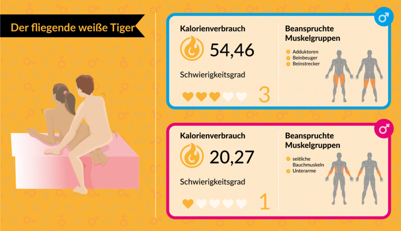 Mit Bettsport fit für den Sommer: Mit Sex abnehmen: Welche Stellungen am meisten Kalorien verbrennen - AZ-Ratgeber - Abendzeitung München
