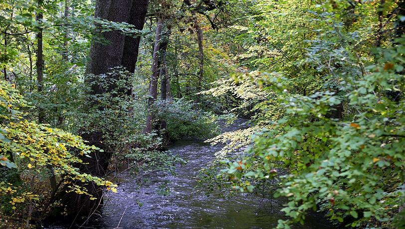 Wildes Ufer, flotter Bach: die Würm. Wildes Ufer, flotter Bach: die Würm.
