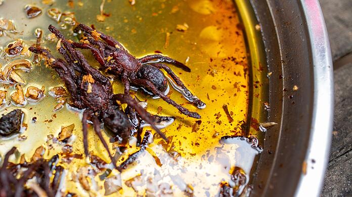 Im Zuge des Klimawandels ist das Essen von Insekten und Spinnen Experten zufolge eine gute Alternative zu den hohen CO2-Emissionen der Fleischproduktion.