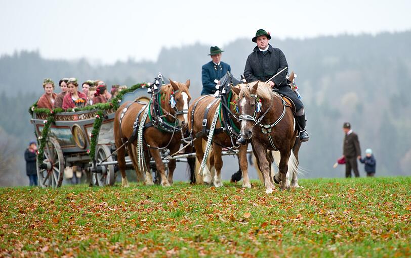 Trotzen dem schlechten Wetter: Ein dekoriertes Pferdegespann am Kalvarienberg in Bad Tölz.