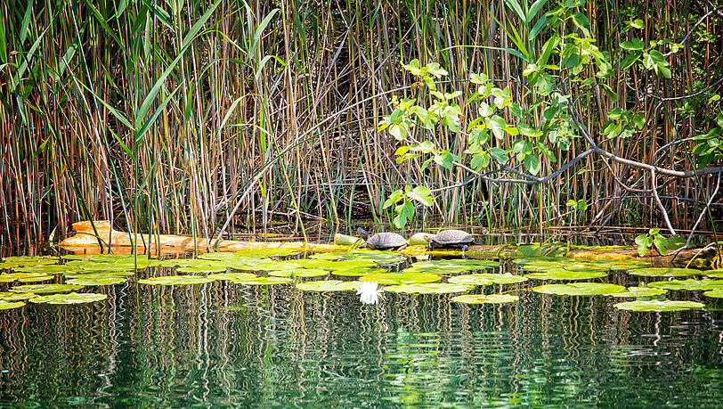 Die Krka l&auml;sst sich am besten vom Wasser aus erleben. Man sp&uuml;rt sofort die Verbundenheit mit der Natur.