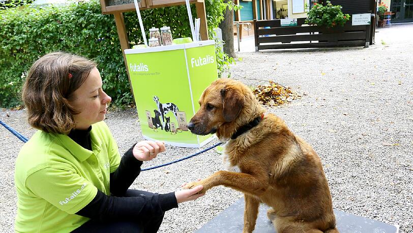 Auch Mischling Leroy ist mit 25,7 Kilo nicht zu dick. Der Rüde geht ja täglich vier Stunden spazieren. Auch Mischling Leroy ist mit 25,7 Kilo nicht zu dick. Der Rüde geht ja täglich vier Stunden spazieren.