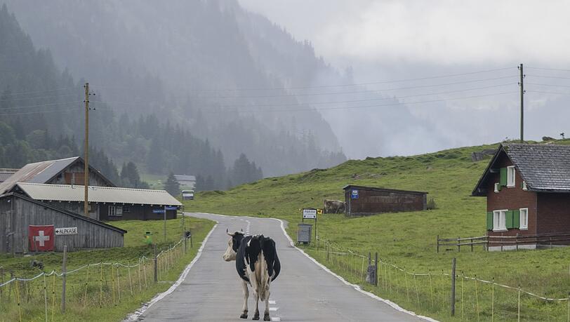 "Die Zahl der Deutschen mit Wohnsitz in der Schweiz steigt seit Jahren kontinuierlich", berichtete die Statistikbehörde. Binnen zehn Jahren erhöhte sich die Zahl der Deutschen in der Schweiz um 10,7 Prozent. (Archivfoto)