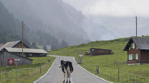 "Die Zahl der Deutschen mit Wohnsitz in der Schweiz steigt seit Jahren kontinuierlich", berichtete die Statistikbehörde. Binnen zehn Jahren erhöhte sich die Zahl der Deutschen in der Schweiz um 10,7 Prozent. (Archivfoto)