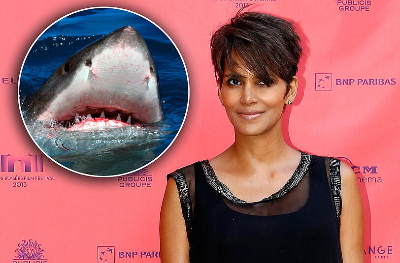 Halle Berry hat im offenen Meer einen Weißen Hai gestreichelt