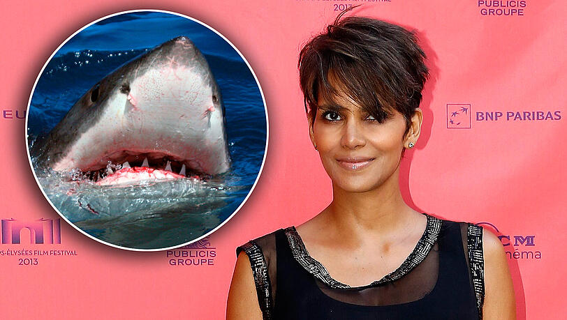 Halle Berry hat im offenen Meer einen Weißen Hai gestreichelt Halle Berry hat im offenen Meer einen Weißen Hai gestreichelt
