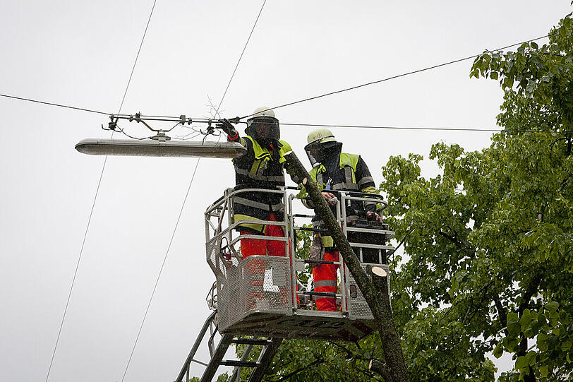 Vorsichtig hat der Feuerwehrmann die letzten Äste abgeschnitten. Jetzt nimmt er es besonders genau und zupft auch die letzten kleinen Zweige von der Straßenbeleuchtung.