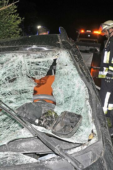 Nach der Kolision: Das Auto kam demoliert in einem Gebüsch neben der Straße zum Stehen.