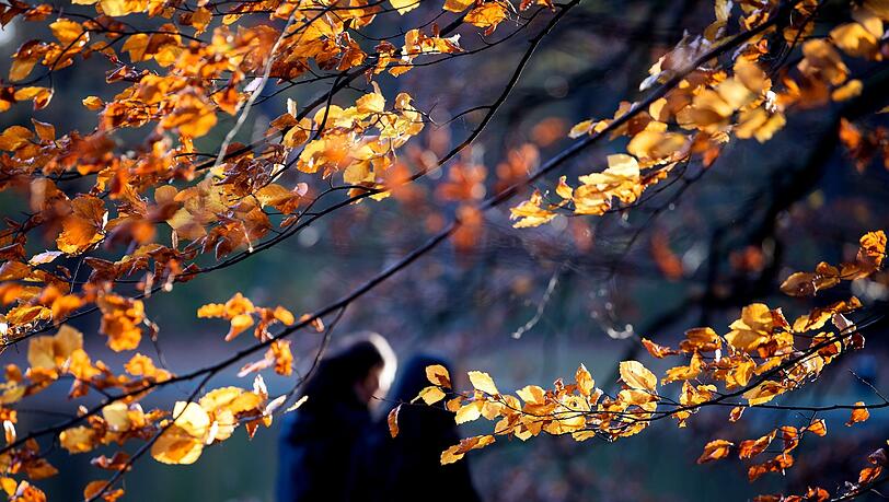 Zwei Menschen gehen zwischen herbstlichen Bäumen hindurch.