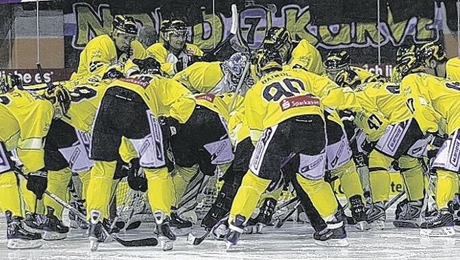Der Tabellenführer der Zweiten Eishockey-Bundesliga, die Tölzer Löwen. Der Tabellenführer der Zweiten Eishockey-Bundesliga, die Tölzer Löwen.