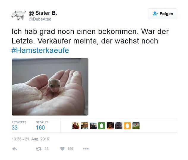So amüsieren sich Twitter-User über die Hamsterkäufe im Konzept zur Zivilverteidigung.