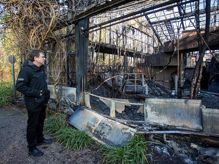 Zoodirektor Wolfgang Dreßen steht vor dem abgebrannten Affenhaus.