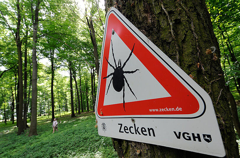 Zecken können die Erreger der Borreliose und der Hirnhautentzündung FSME übertragen.In Bayern ist die Gefahr besonders hoch.