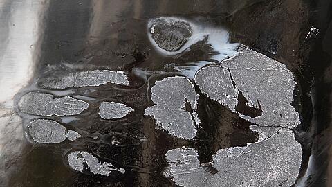 Ein Handabdruck eines abgelösten Klimaaktivisten (Symbolbild).