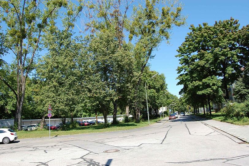 Angenehm ruhige Wohnlage im Münchner Norden: Die Eigentumswohnungen im Projekt "Ahorngarten" entstehen im Grünen.