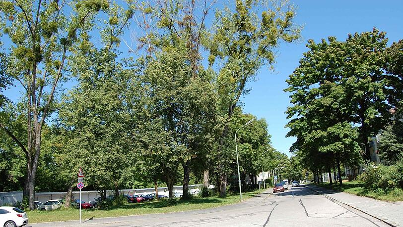 Angenehm ruhige Wohnlage im Münchner Norden: Die Eigentumswohnungen im Projekt "Ahorngarten" entstehen im Grünen.