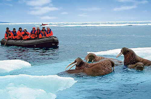 Der Entdecker berauscht sich an Natur und Stille. Foto: Hapag-Lloyd