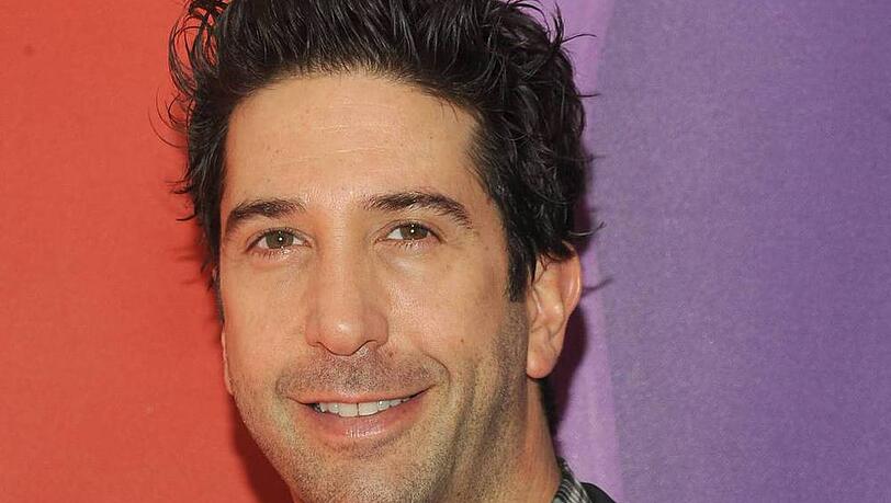 David Schwimmer hat der Polizei geholfen, einen Verbrecher zu schnappen David Schwimmer hat der Polizei geholfen, einen Verbrecher zu schnappen