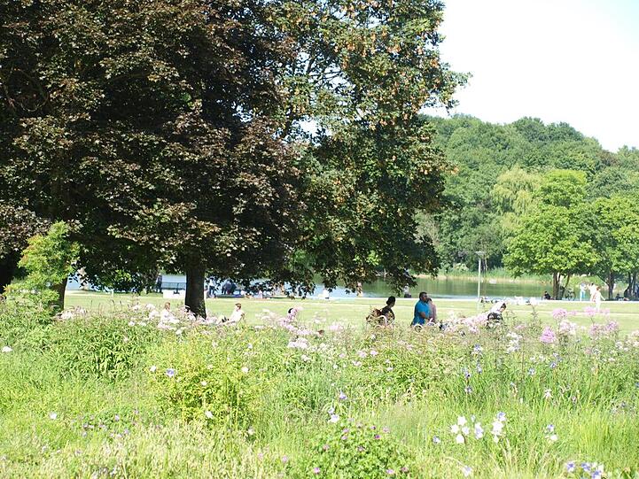 Der Westpark bietet den Großstädtern so einige Möglichkeiten zur Naherholung: Spielplätze, Gartenanlagen, Biergärten,  im Winter Schlittenfahren und im Sommer natürlich Grillen. Erlaubt ist das in der Nähe der Siegenburger Straße und an der Heiterwanger Straße sowie im Süden und Westen der Seebühne.