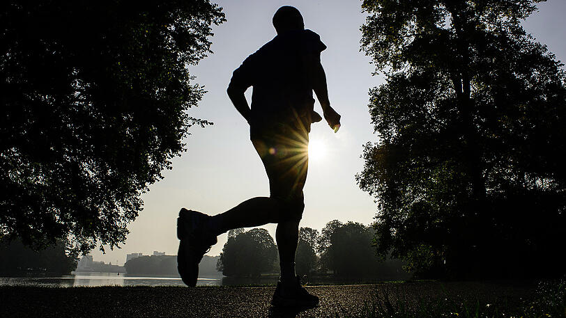 Der Jogger nahm sich einen Stein und warf ihn auf den Förster. Der konnte glücklicherweise ausweichen und blieb unverletzt. (Archivbild)