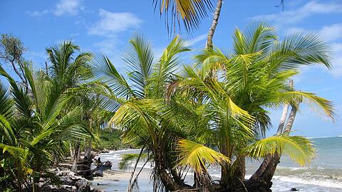 Der Fund zweier Leichen auf dem Grundstück eines deutschen Paares in Costa Rica gibt Rätsel auf. (Archivbild)