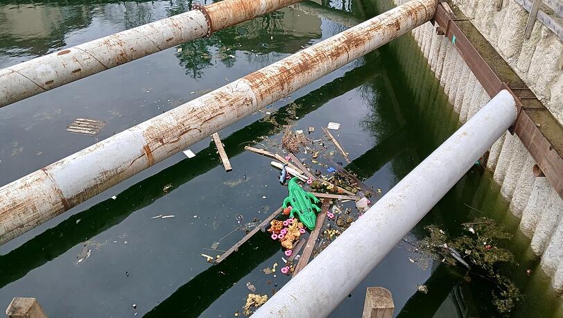 Müll und Spielzeug-Badetiere: Blick von der Alramstraße ins Sendlinger Loch. Müll und Spielzeug-Badetiere: Blick von der Alramstraße ins Sendlinger Loch.