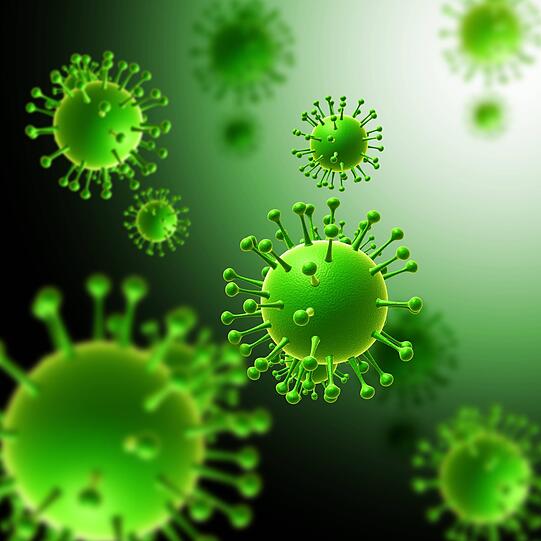 Das H1N1-Virus ist für die sogenannte &bdquo;Schweinegrippe&ldquo; verantwortlich &ndash; auch gegen diesen Virenstamm hilft die Grippeschutzimpfung.