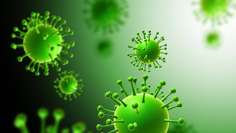 Das H1N1-Virus ist für die sogenannte „Schweinegrippe“ verantwortlich – auch gegen diesen Virenstamm hilft die Grippeschutzimpfung. Das H1N1-Virus ist für die sogenannte „Schweinegrippe“ verantwortlich – auch gegen diesen Virenstamm hilft die Grippeschutzimpfung.