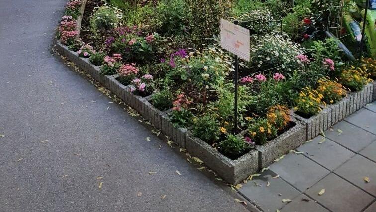 Direkt an der U-Bahnstation Implerstraße hat Vadim Hildermann seinen Garten angelegt. Direkt an der U-Bahnstation Implerstraße hat Vadim Hildermann seinen Garten angelegt.