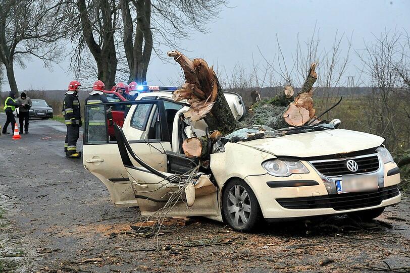 In Polen starben drei Menschen, als ein Baum auf ihr Auto stürzte.