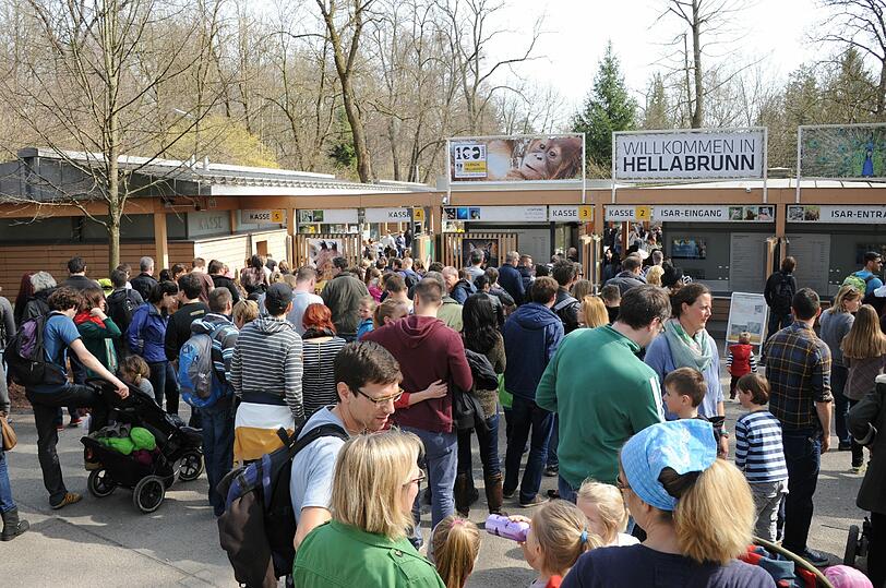 Bereits gegen 8 Uhr warteten die ersten Schaulustigen vor dem Tierpark um die Eisbären sehen zu können.