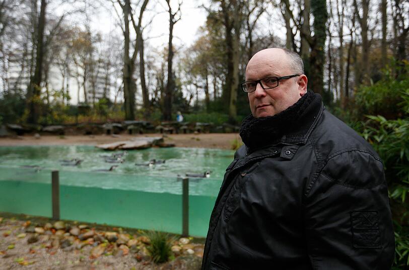 Zoodirektor Dr. Frank Brandstätter am Gehege der Humboldtpinguine im Dortmunder Zoo. Dort ist erneut ein Humboldtpinguin mit Verletzungen tot aufgefunden worden und zwei weitere Pinguine fehlen.