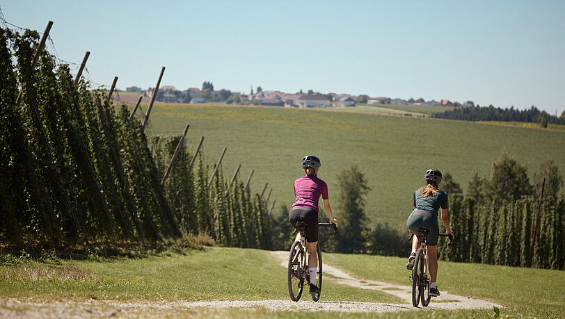 Mit dem Rad durch das gr&ouml;&szlig;te Hopfenanbaugebiet &Ouml;sterreichs.